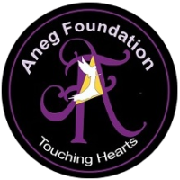 Aneg Foundation